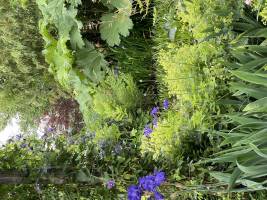 Nicola ALEXANDRE - ADN AGENCEUR DECORATEUR NICOLA